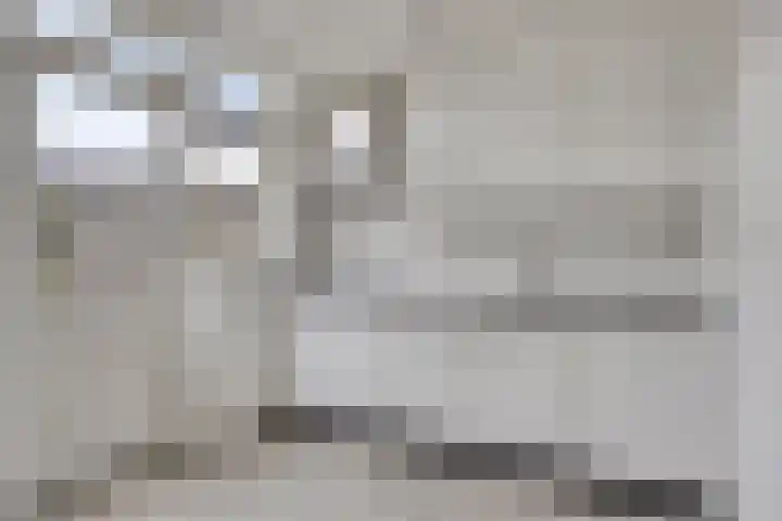 2e Lange Voren 14 Elst thumbnail 9