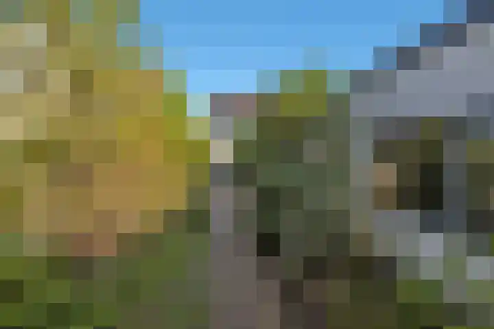 2e Loosterweg 106 Hillegom thumbnail 19