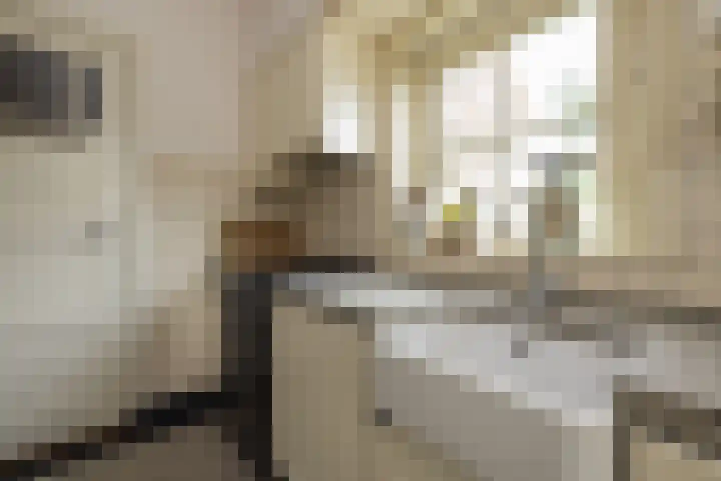 2e Loosterweg 143 Hillegom thumbnail 21