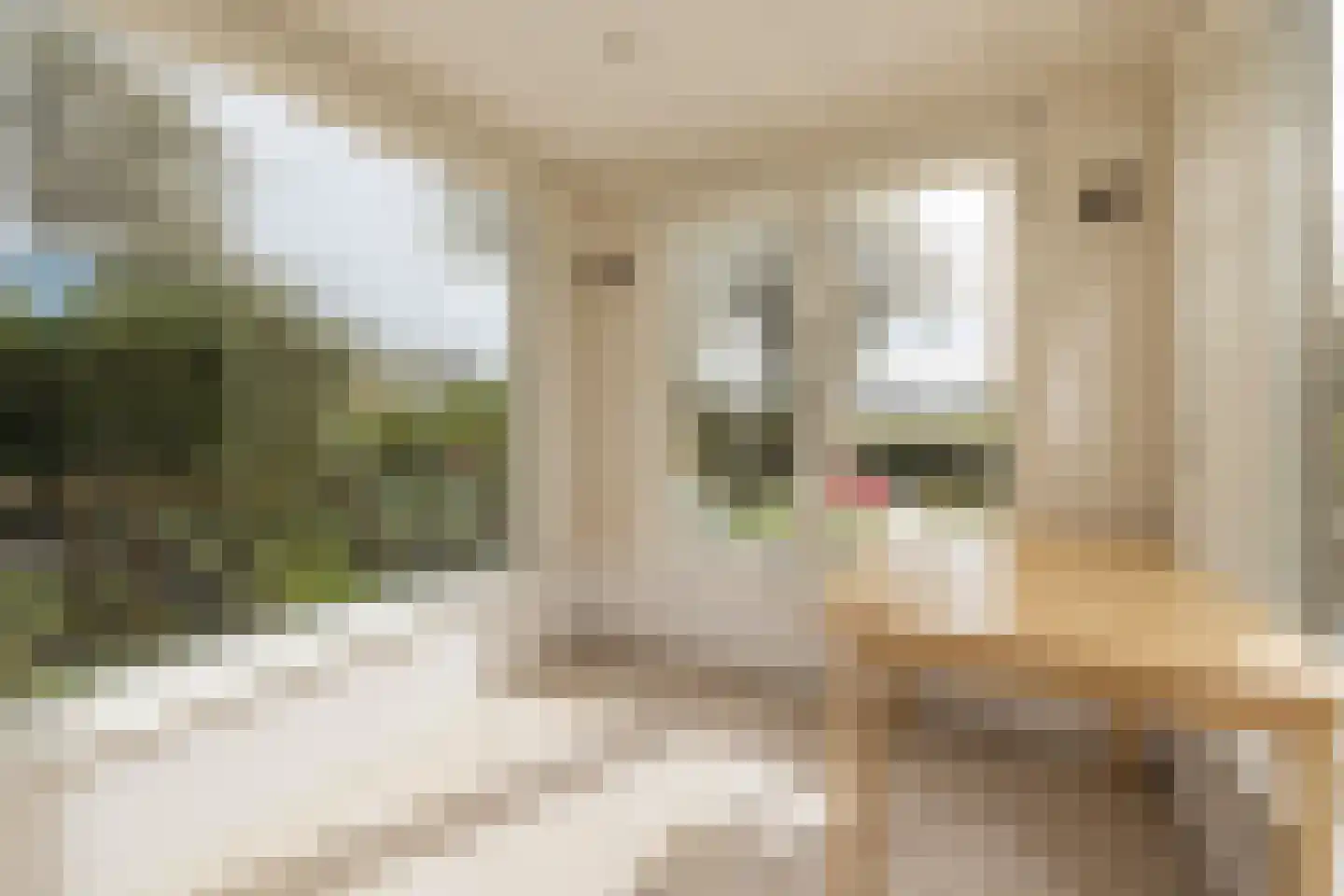 2e Loosterweg 143 Hillegom thumbnail 24