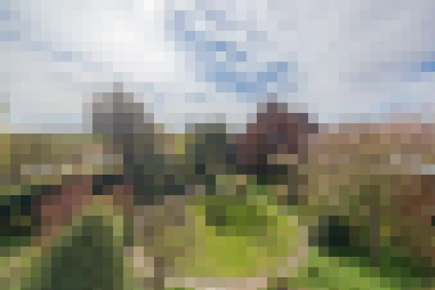 2e Loosterweg 143 Hillegom thumbnail 4