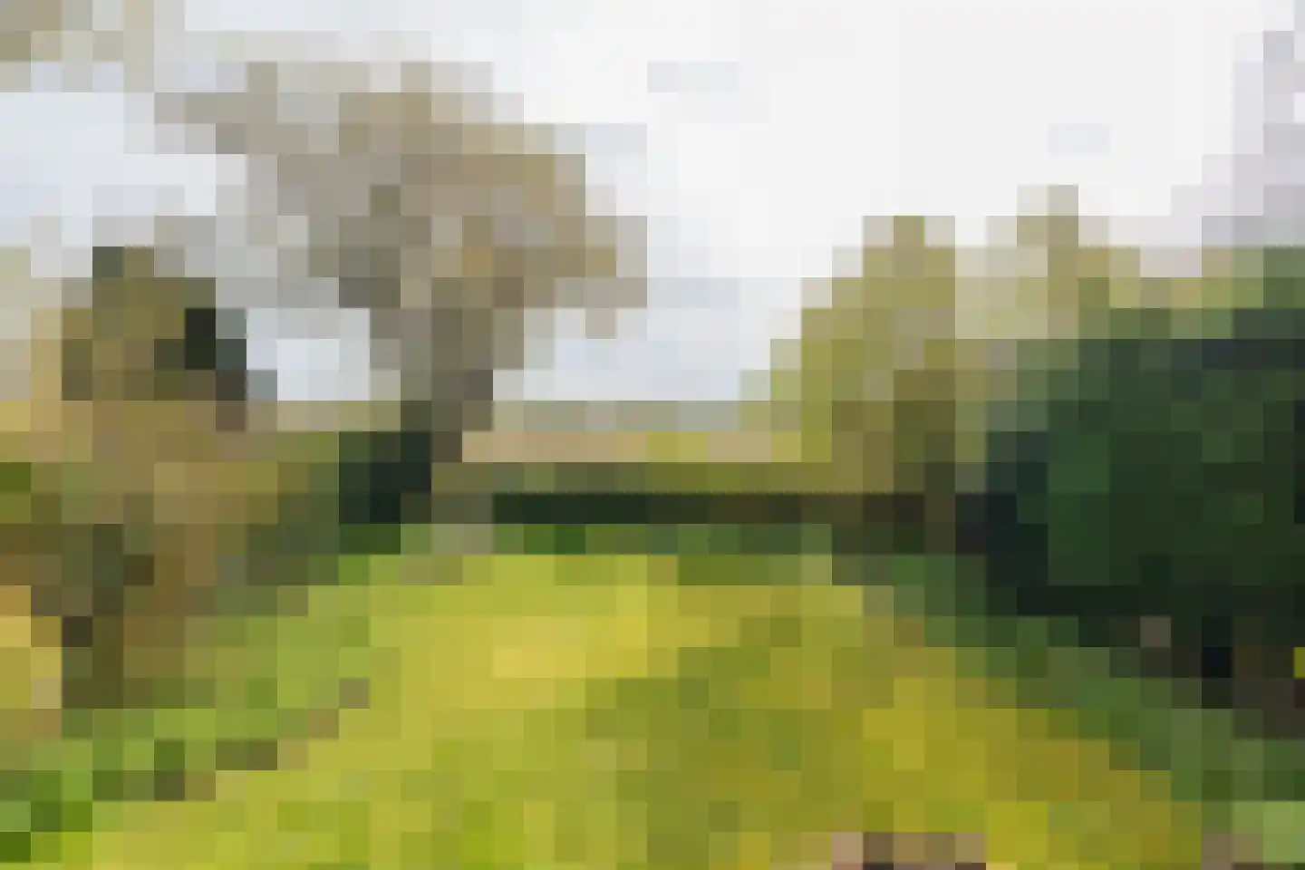 2e Loosterweg 143 Hillegom thumbnail 50