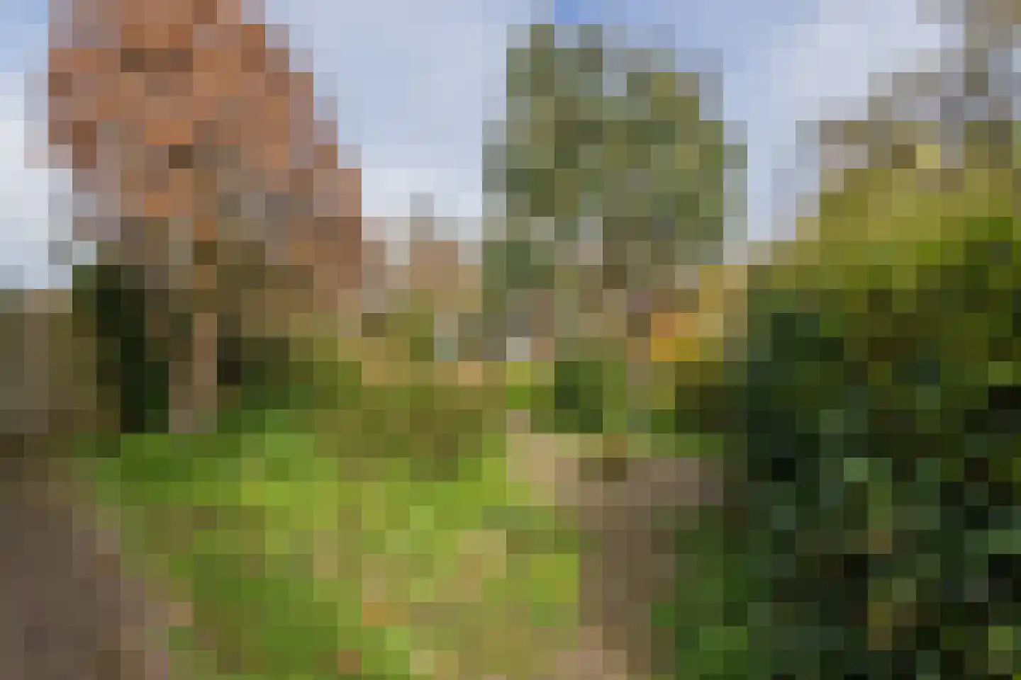2e Loosterweg 143 Hillegom thumbnail 54
