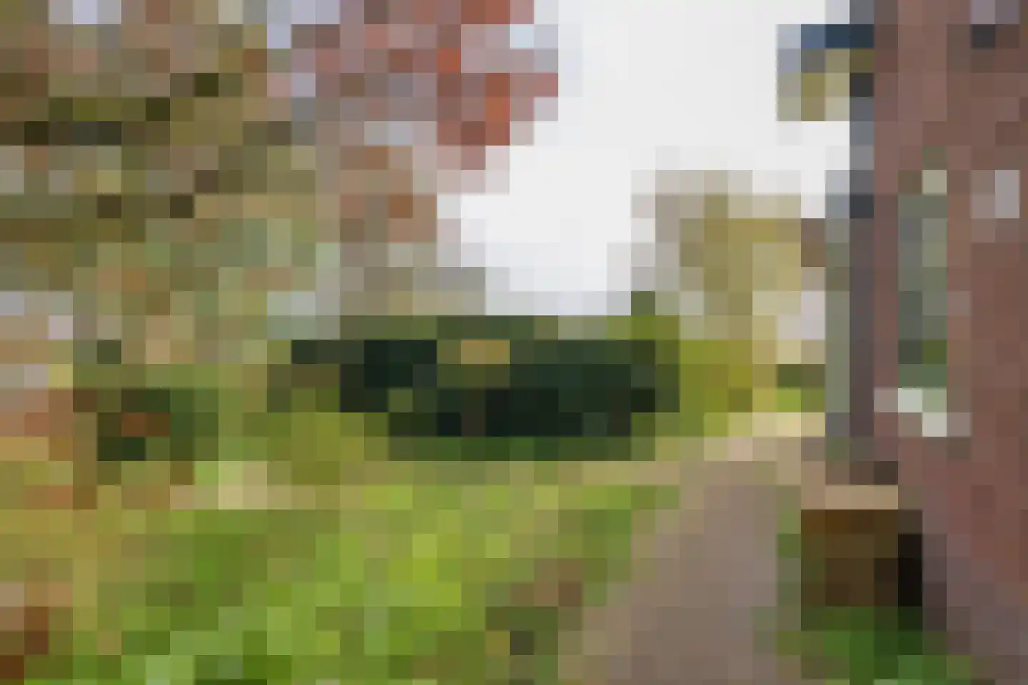 2e Loosterweg 143 Hillegom thumbnail 55