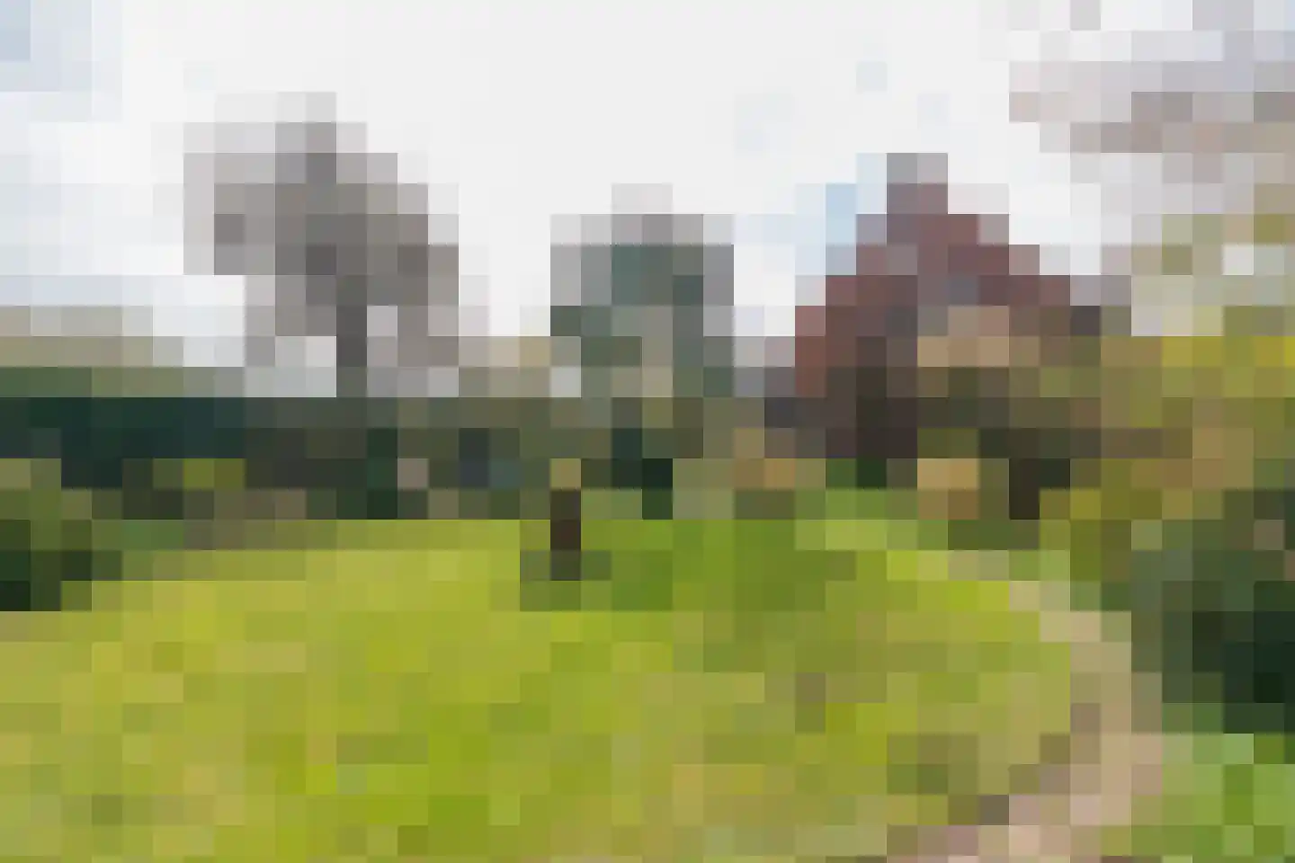 2e Loosterweg 143 Hillegom thumbnail 59