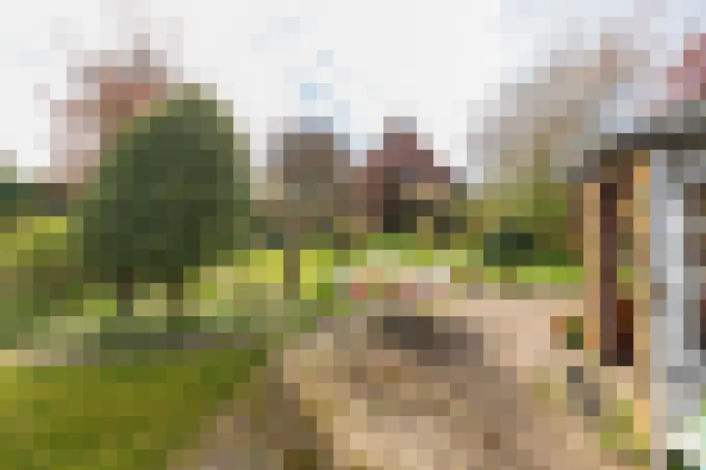 2e Loosterweg 143 Hillegom thumbnail 62