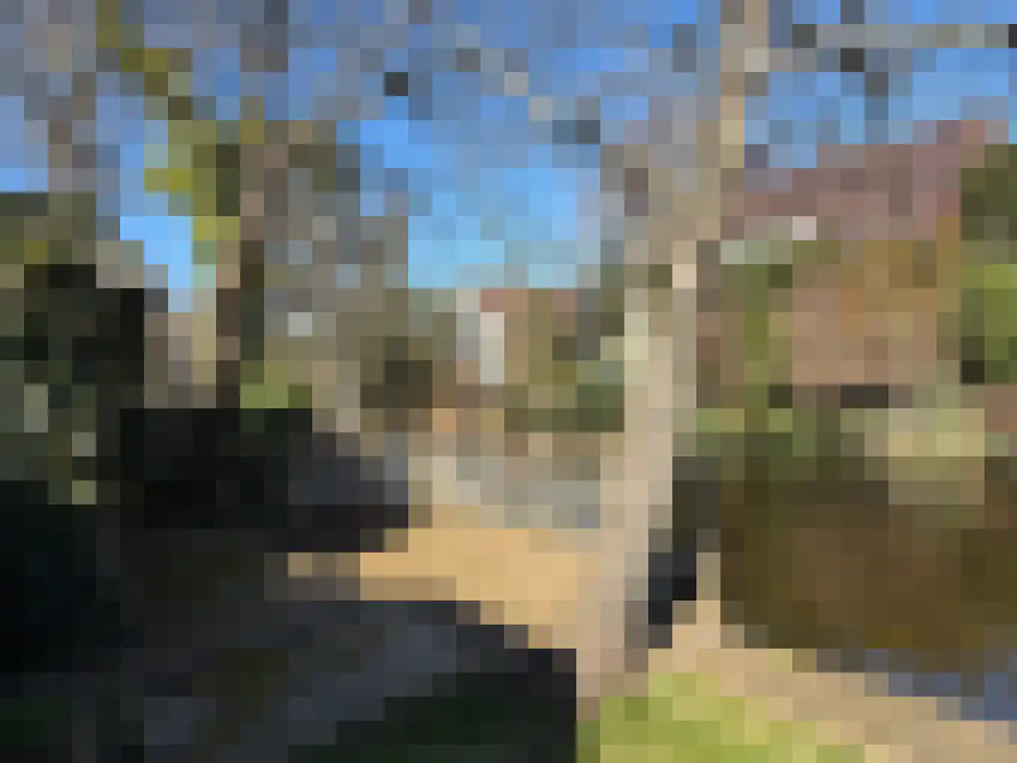 2e Loosterweg 143 Hillegom thumbnail 65