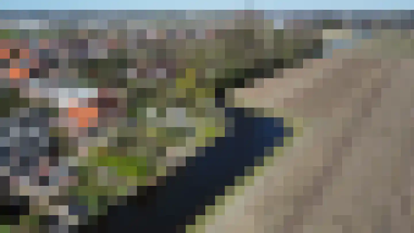 2e Loosterweg 143 Hillegom thumbnail 77
