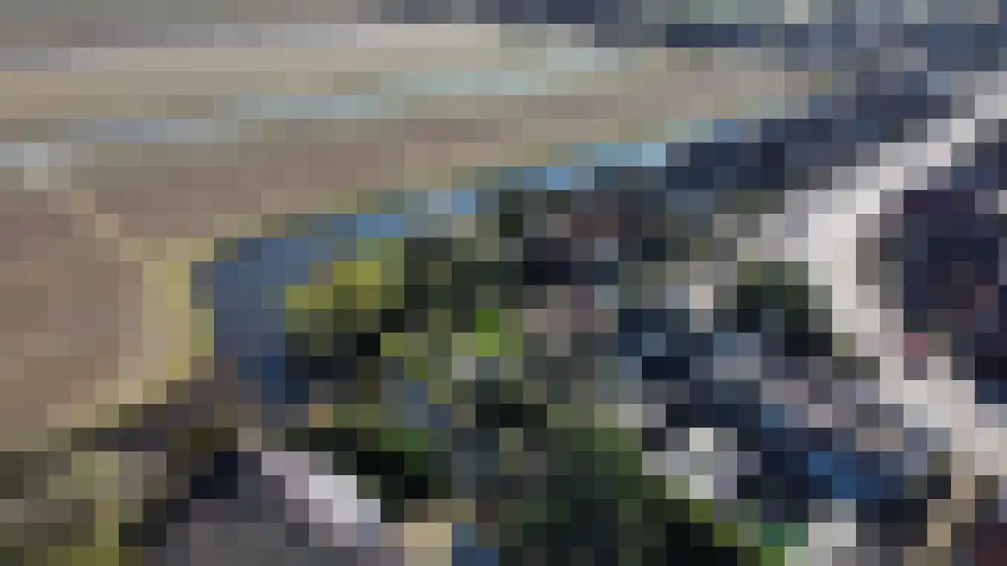 2e Loosterweg 143 Hillegom thumbnail 79