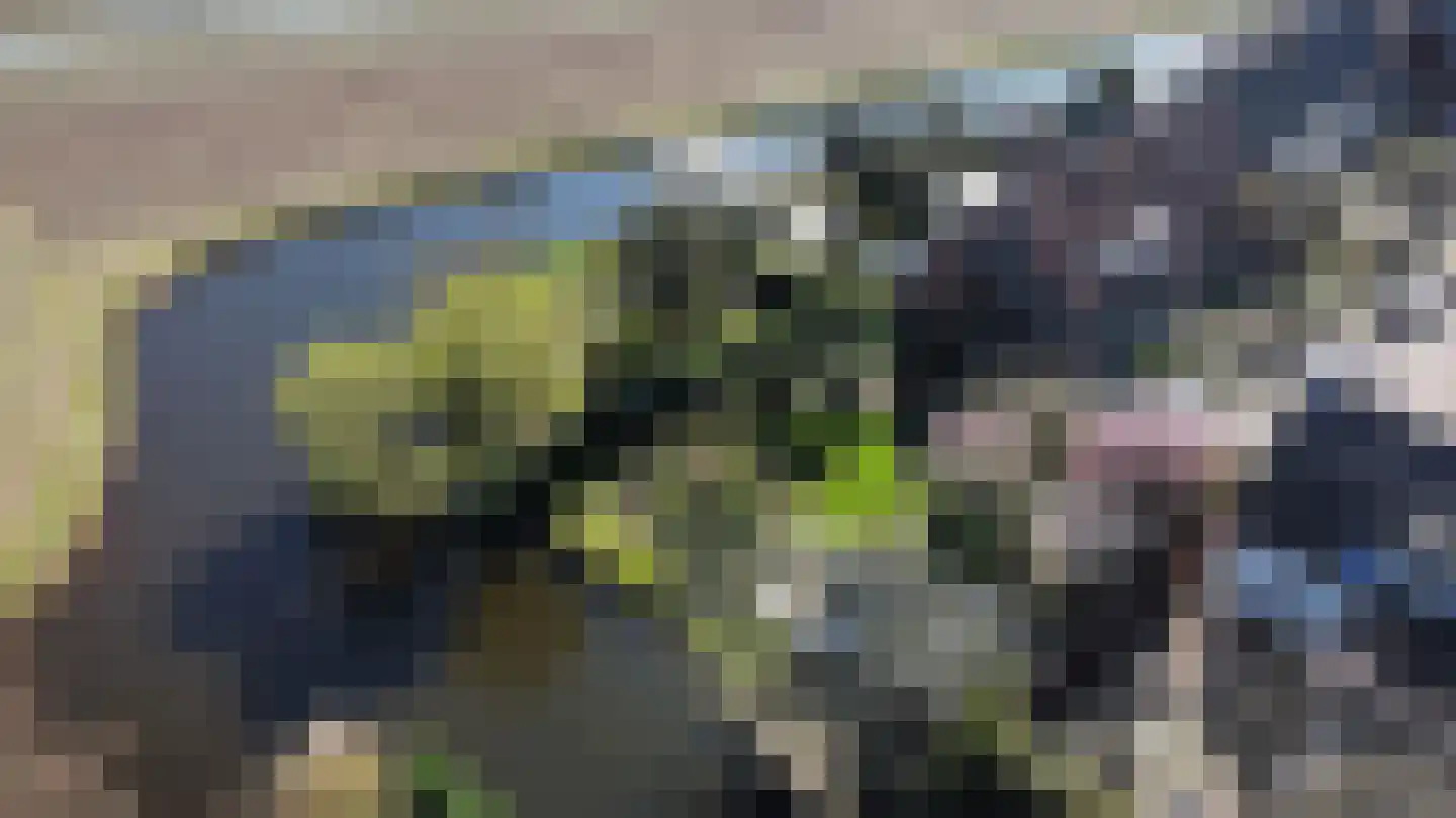 2e Loosterweg 143 Hillegom thumbnail 80