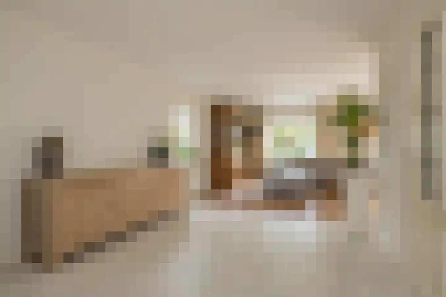 2e Loosterweg 158 Hillegom thumbnail 14