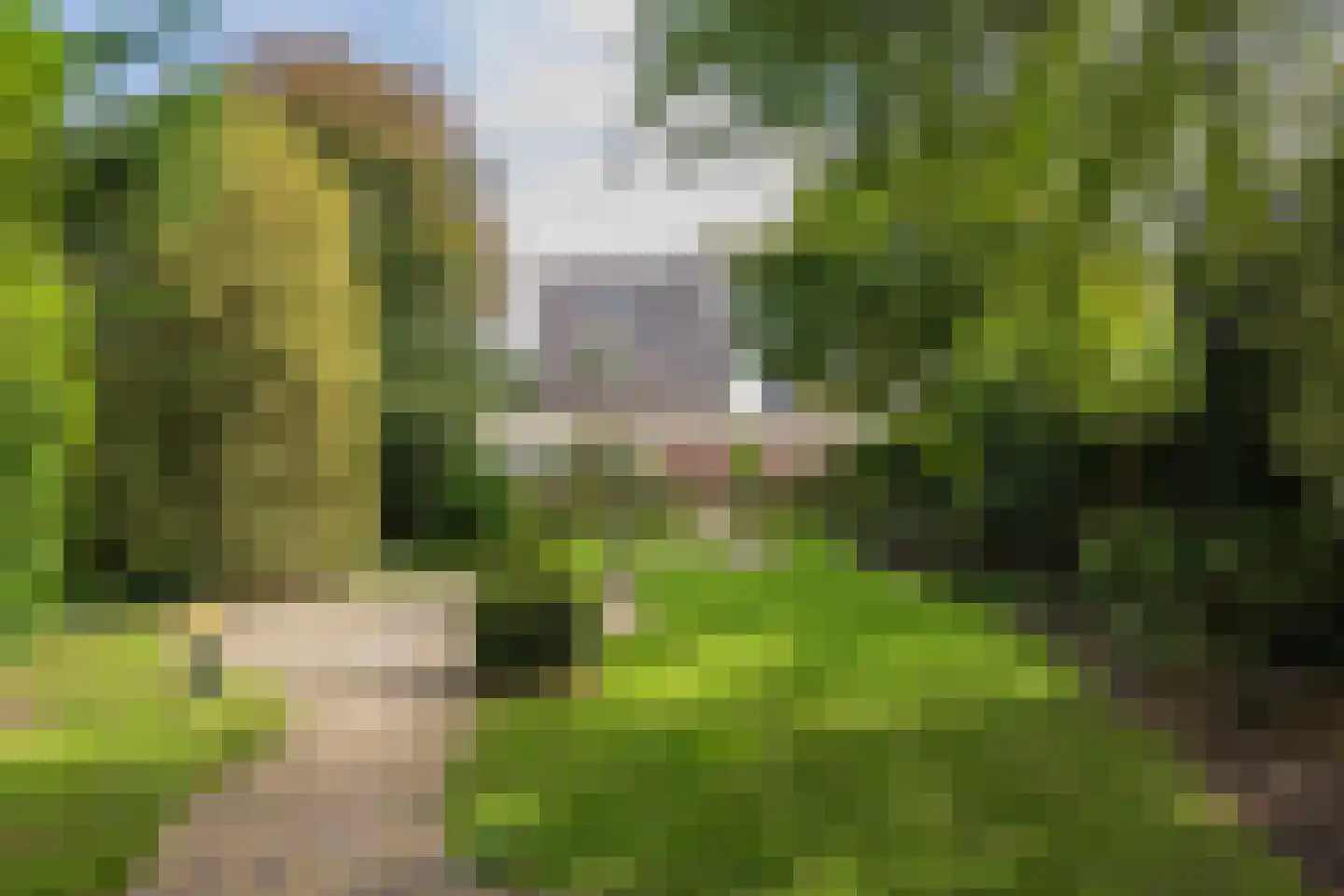 2e Loosterweg 158 Hillegom thumbnail 4