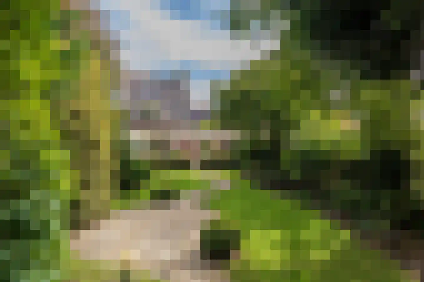 2e Loosterweg 158 Hillegom thumbnail 57