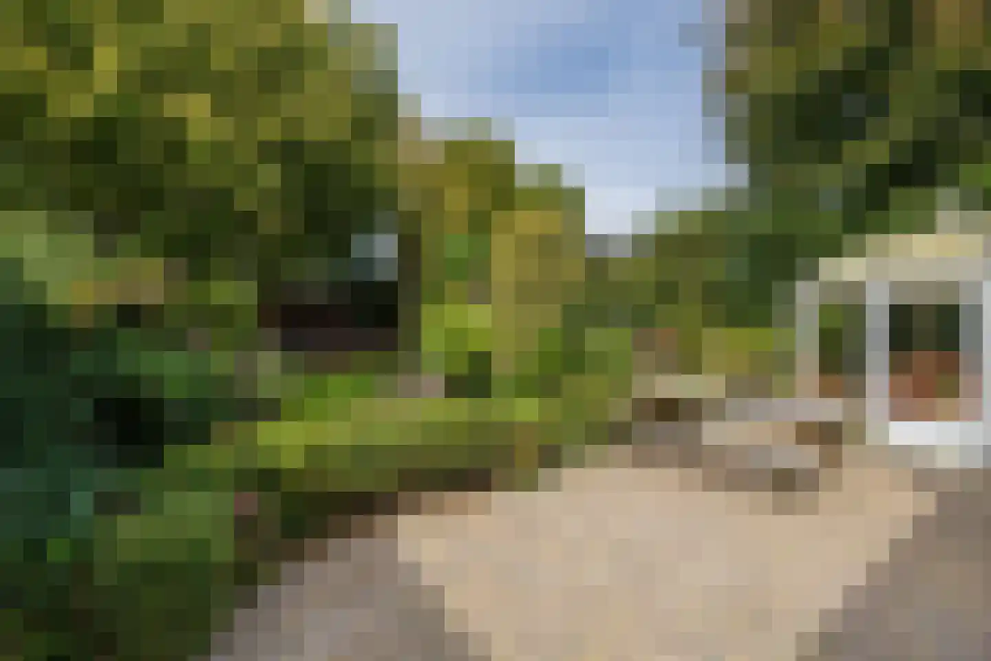 2e Loosterweg 158 Hillegom thumbnail 58
