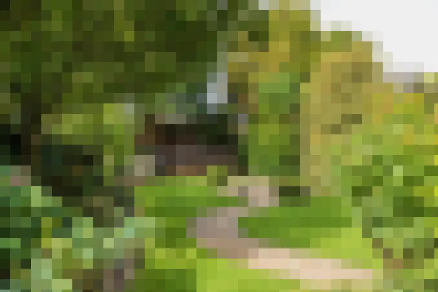 2e Loosterweg 158 Hillegom thumbnail 59
