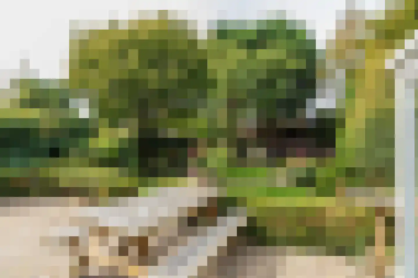 2e Loosterweg 158 Hillegom thumbnail 61