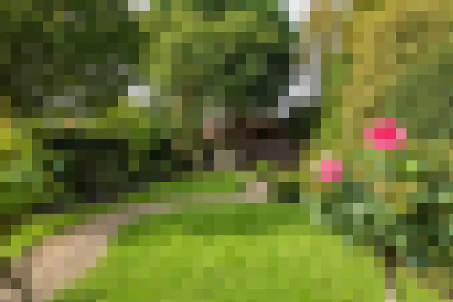 2e Loosterweg 158 Hillegom thumbnail 63