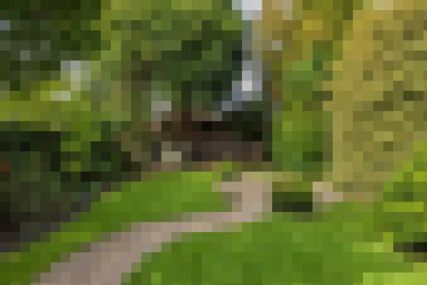 2e Loosterweg 158 Hillegom thumbnail 64