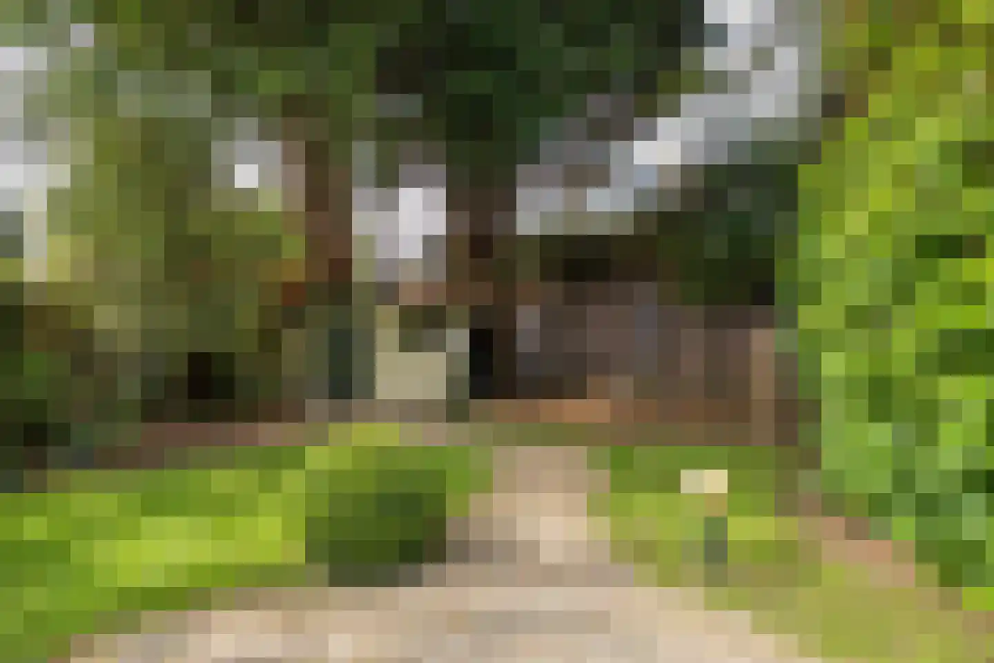 2e Loosterweg 158 Hillegom thumbnail 66