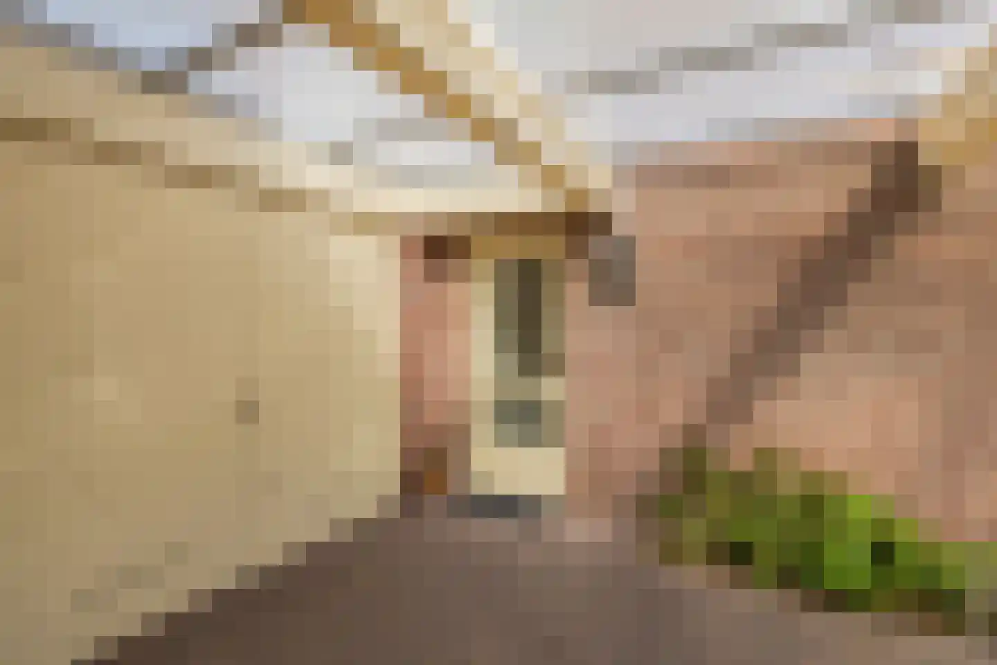 2e Loosterweg 158 Hillegom thumbnail 73
