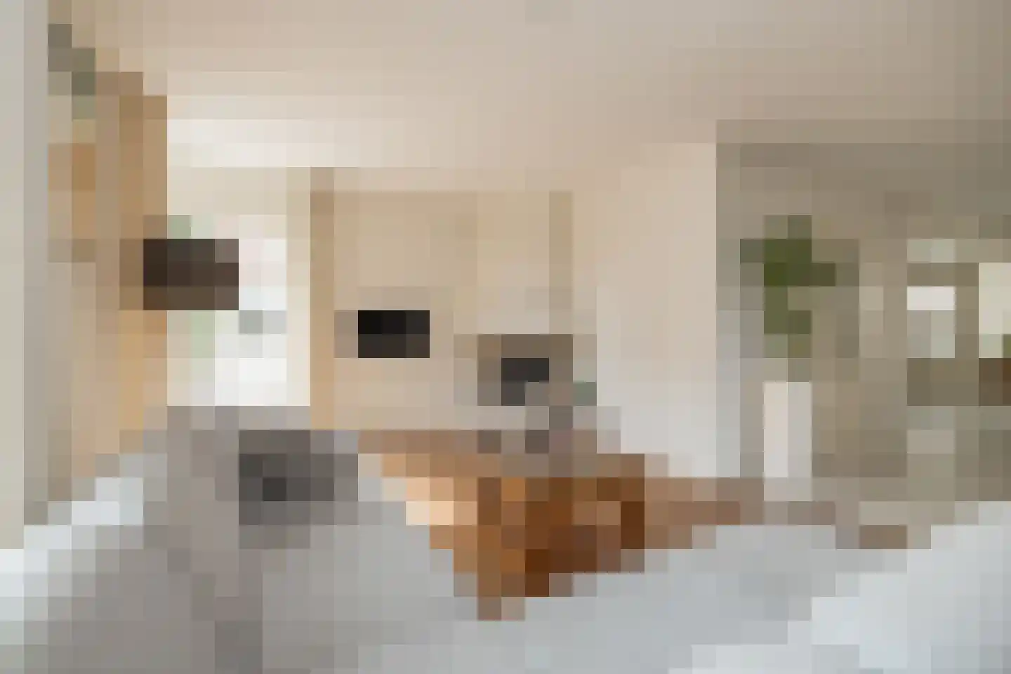 2e Loosterweg 158 Hillegom thumbnail 8