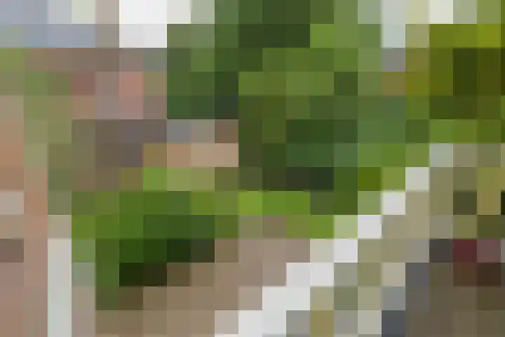 2e Loosterweg 162 Hillegom thumbnail 32