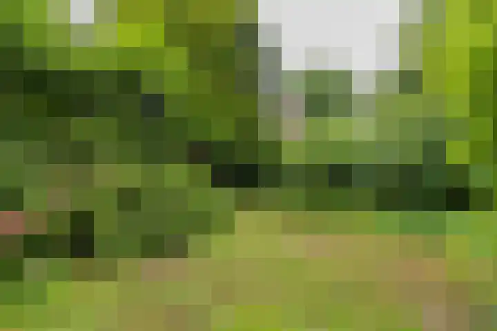 2e Loosterweg 162 Hillegom thumbnail 4