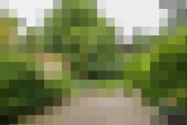 2e Loosterweg 162 Hillegom thumbnail 45