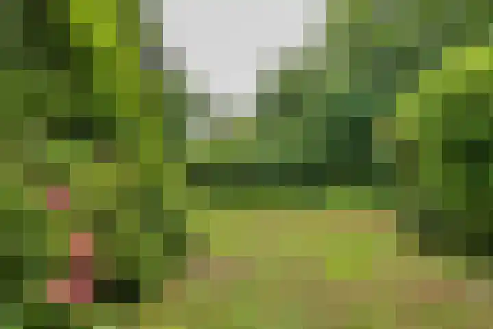 2e Loosterweg 162 Hillegom thumbnail 46
