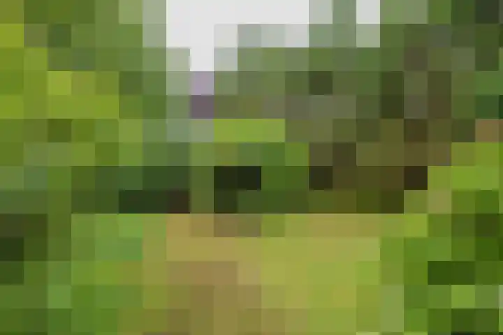 2e Loosterweg 162 Hillegom thumbnail 47