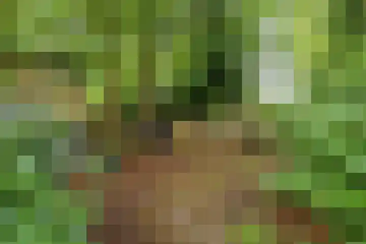 2e Loosterweg 162 Hillegom thumbnail 48
