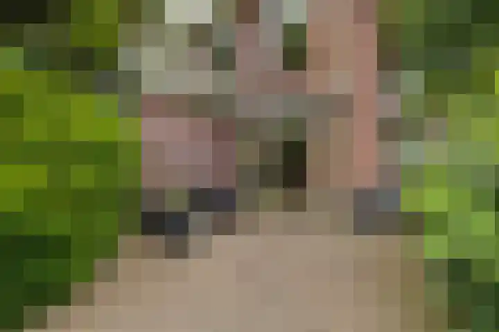 2e Loosterweg 162 Hillegom thumbnail 5