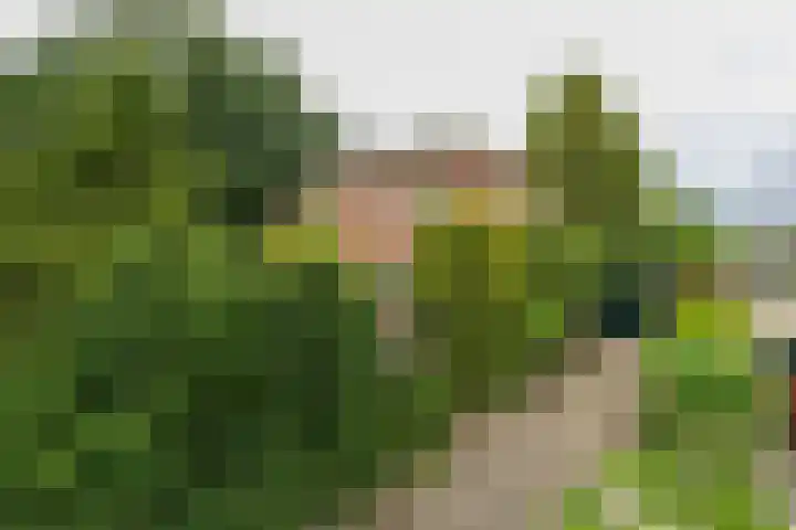 2e Loosterweg 162 Hillegom thumbnail 52