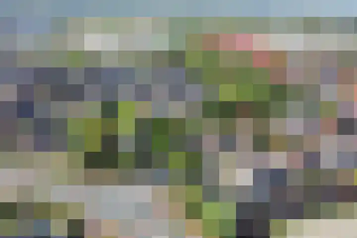 2e Loosterweg 162 Hillegom thumbnail 58