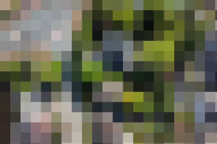 2e Loosterweg 162 Hillegom thumbnail 61