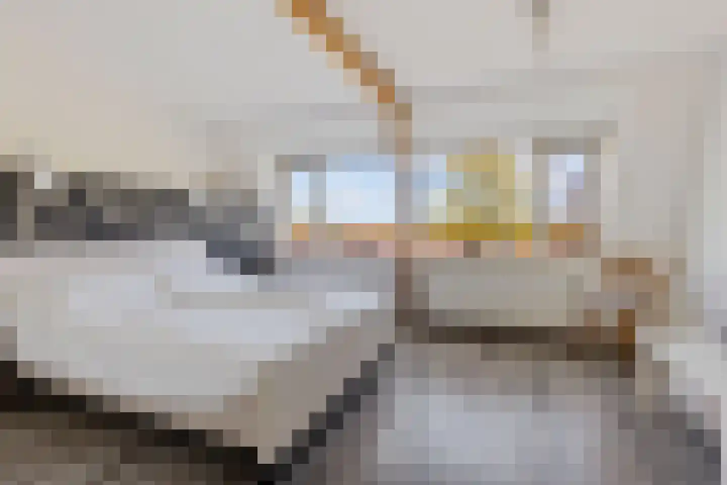 2e Loosterweg 62 Hillegom thumbnail 19