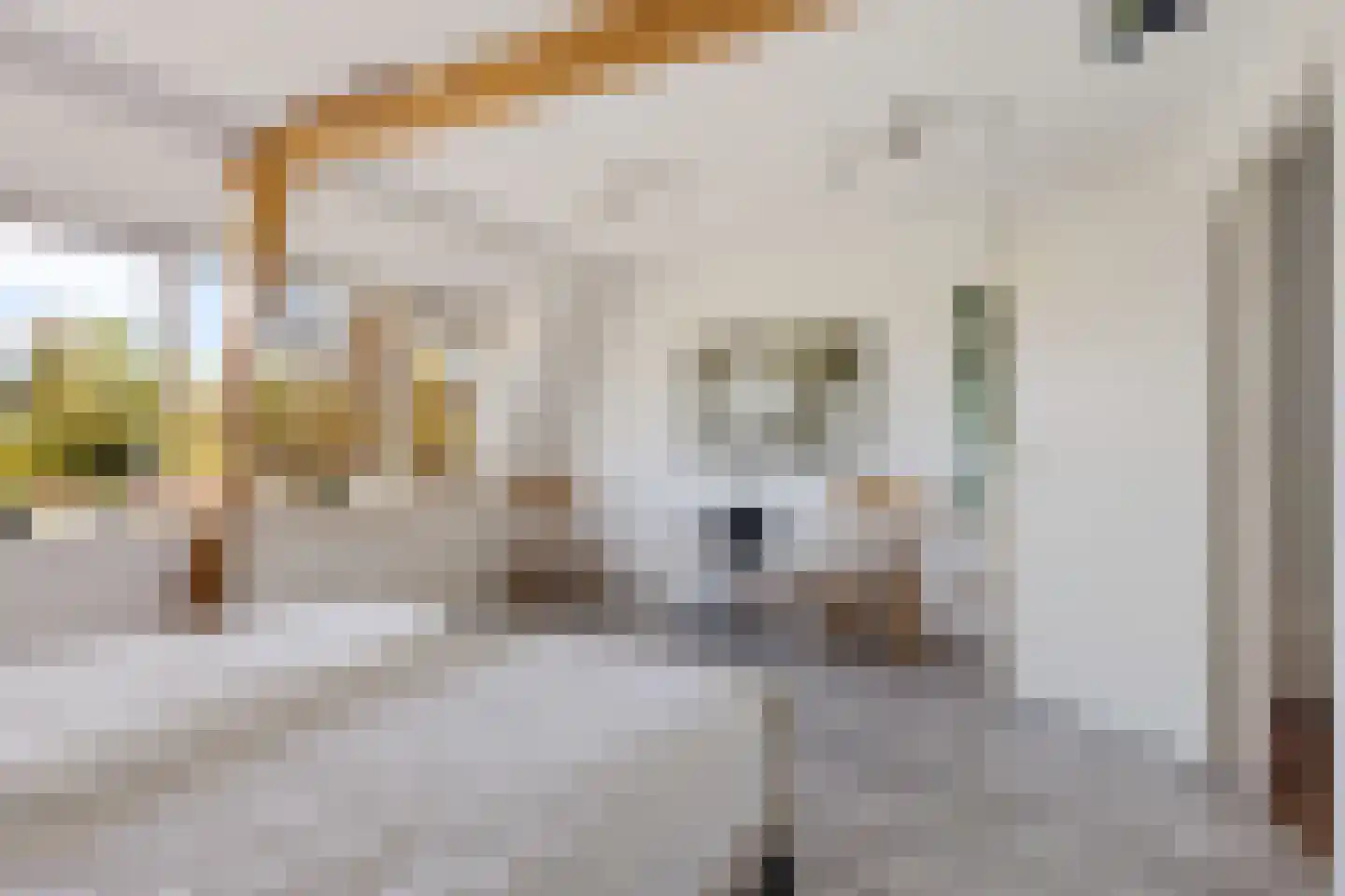2e Loosterweg 62 Hillegom thumbnail 21