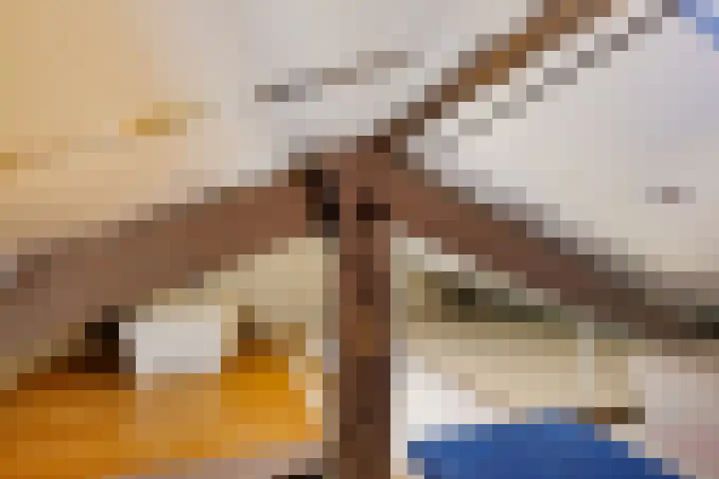 2e Loosterweg 62 Hillegom thumbnail 26