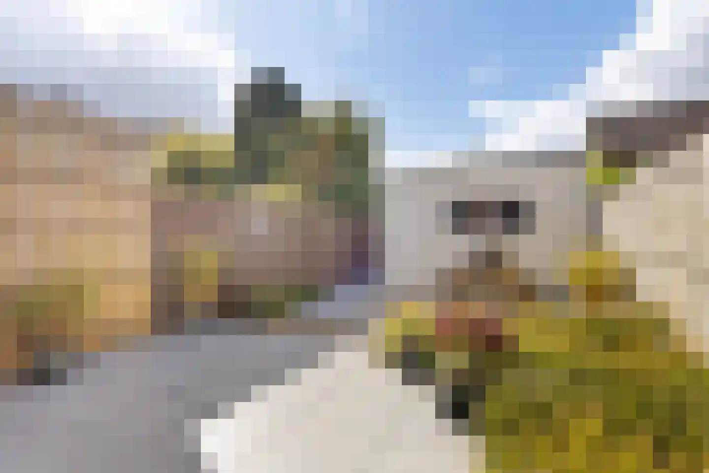 2e Loosterweg 62 Hillegom thumbnail 27