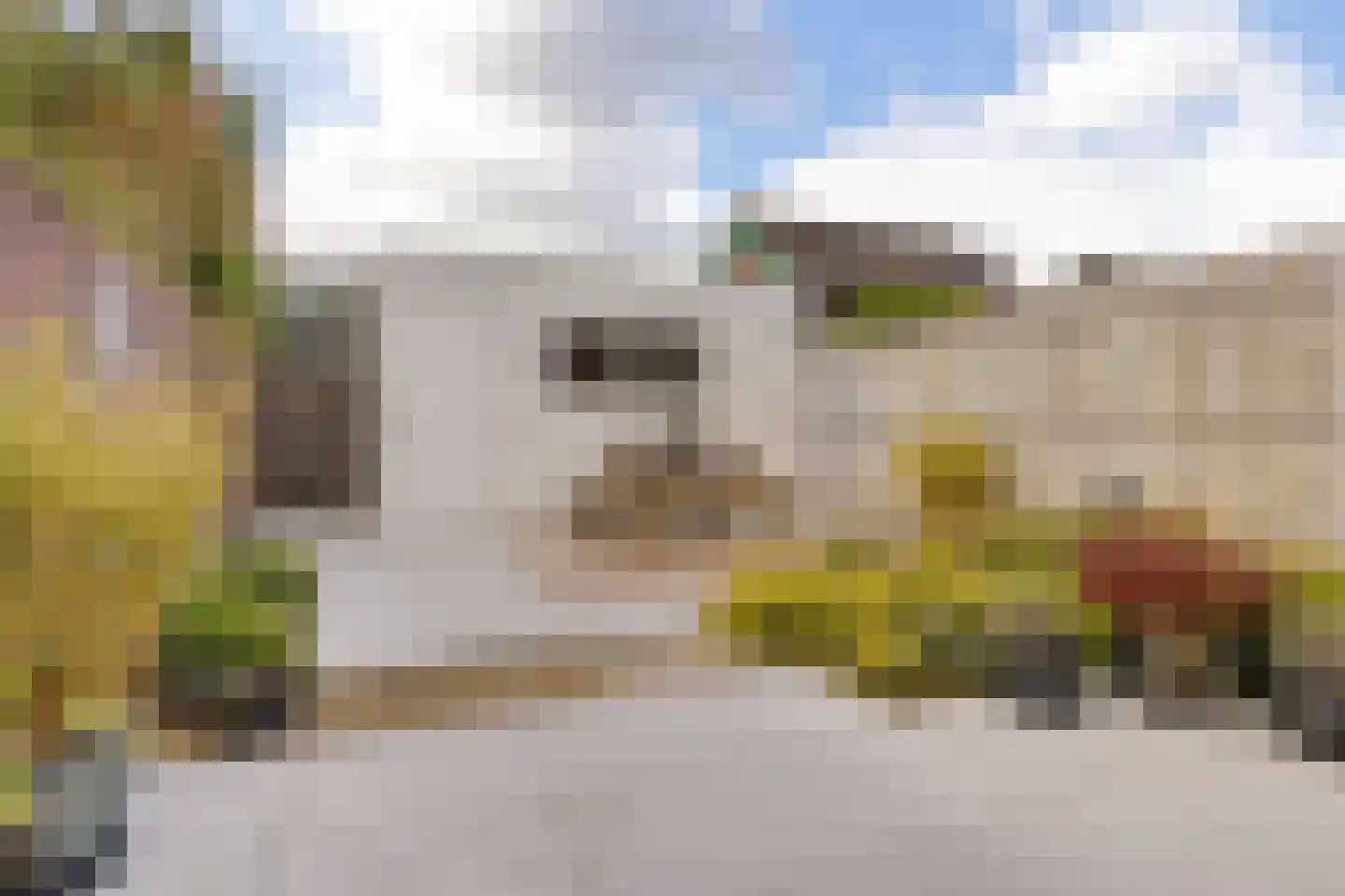 2e Loosterweg 62 Hillegom thumbnail 29