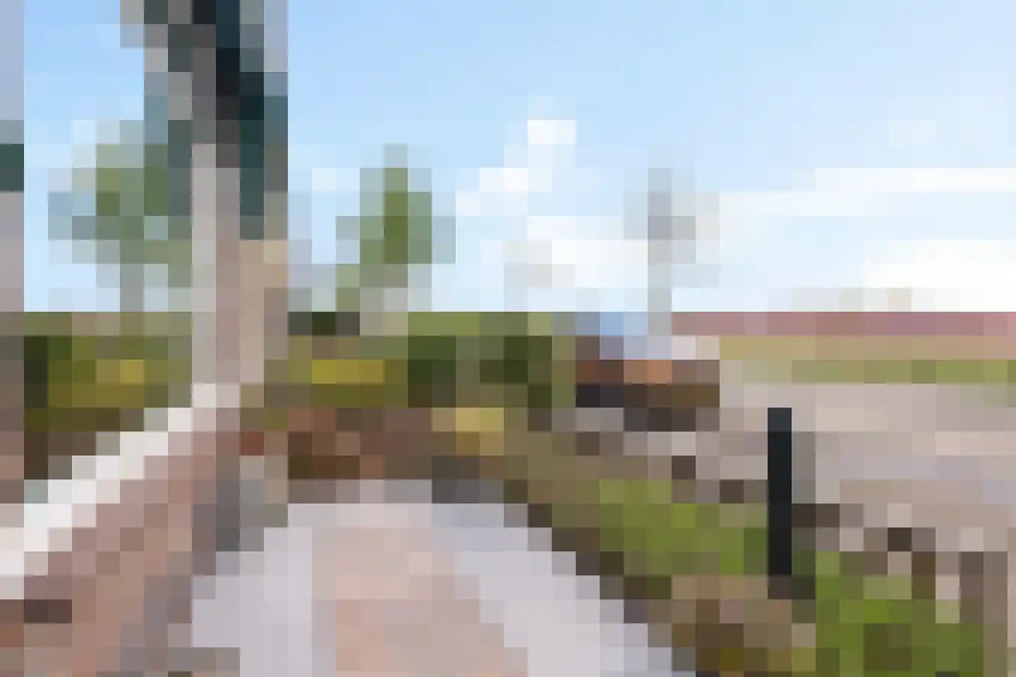 2e Loosterweg 62 Hillegom thumbnail 4