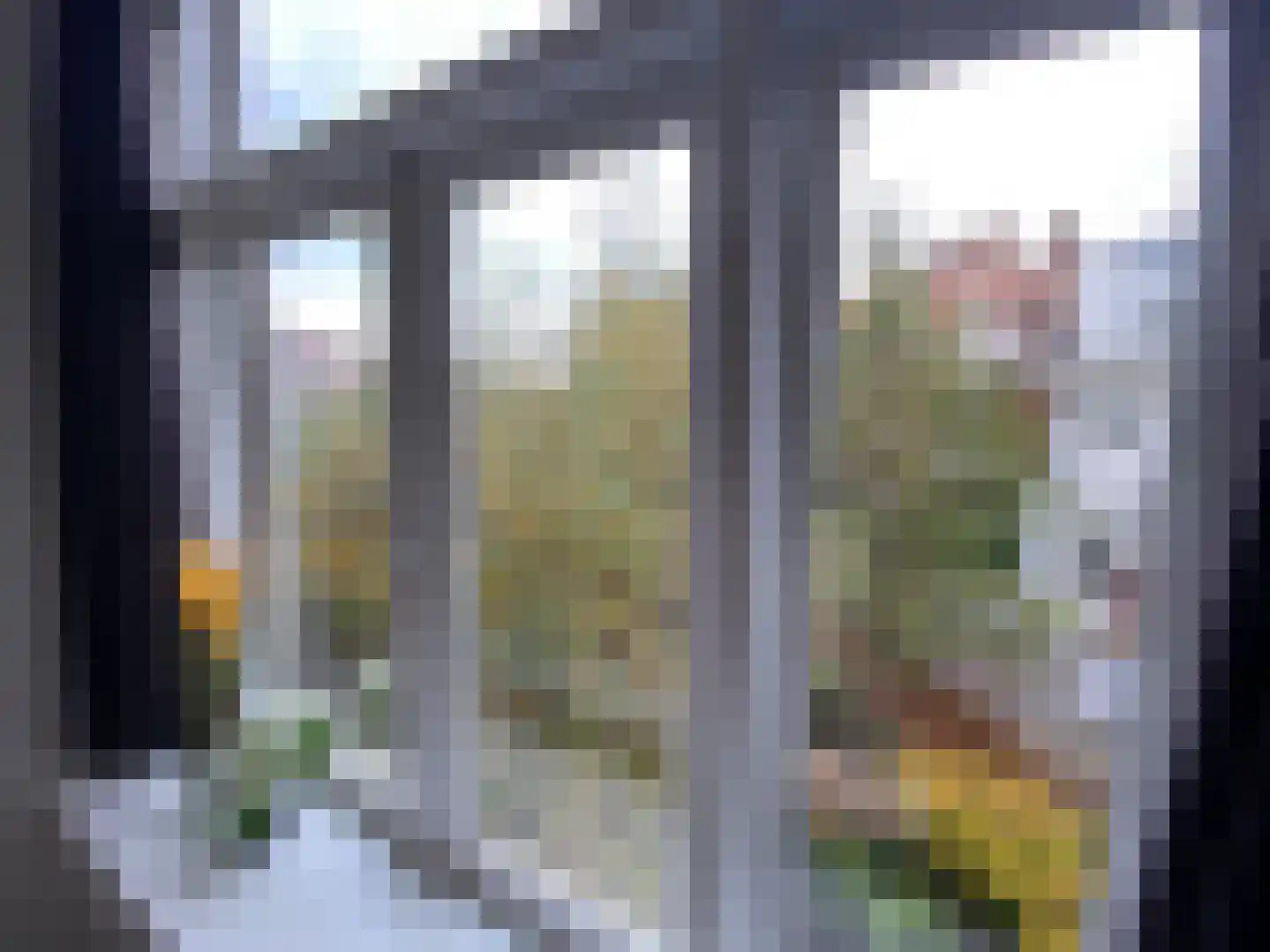 2e Louise de Colignystraat 40 Den Haag thumbnail 18