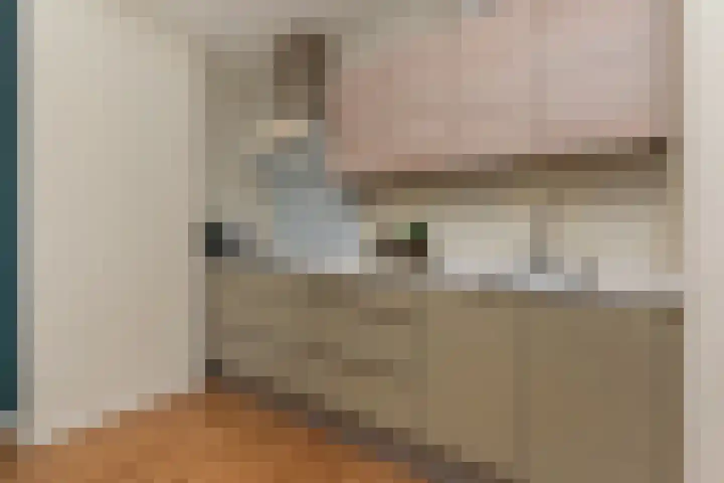 2e Louise de Colignystraat 73 Den Haag thumbnail 19