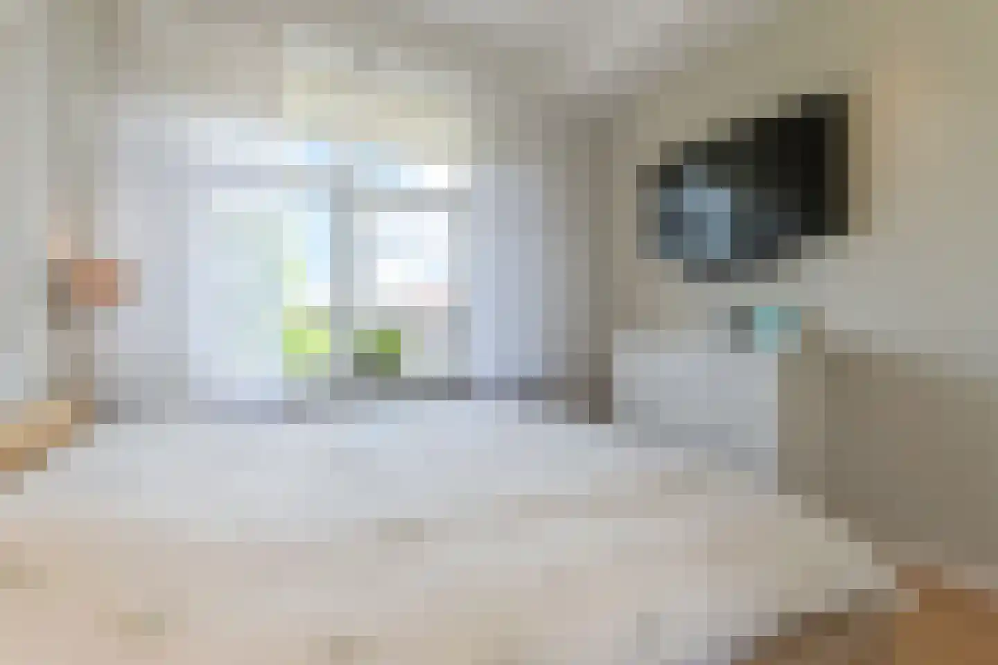 2e Louise de Colignystraat 73 Den Haag thumbnail 31