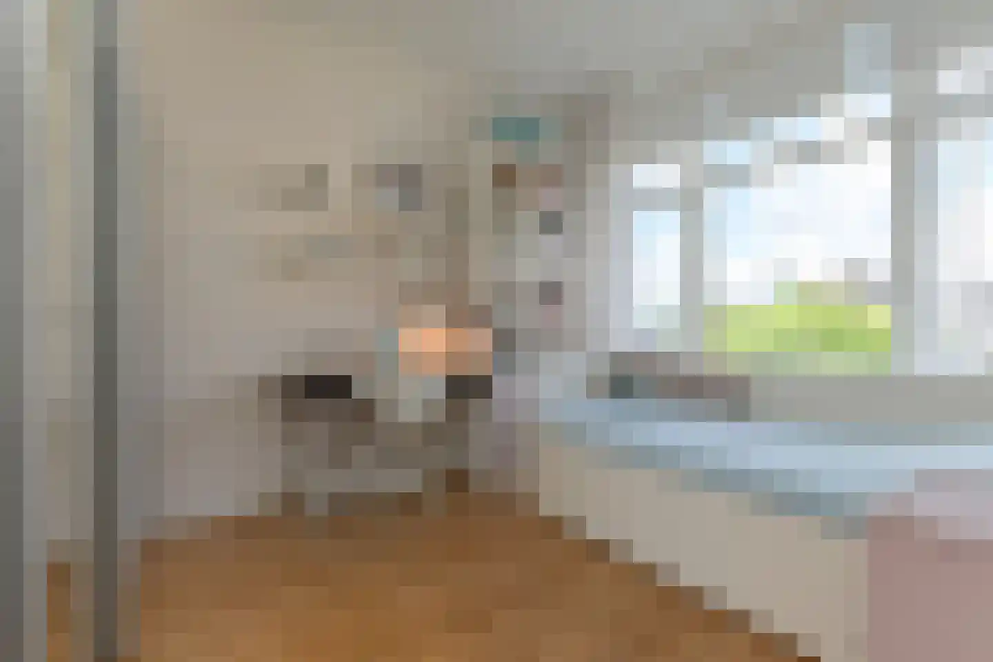2e Louise de Colignystraat 73 Den Haag thumbnail 37