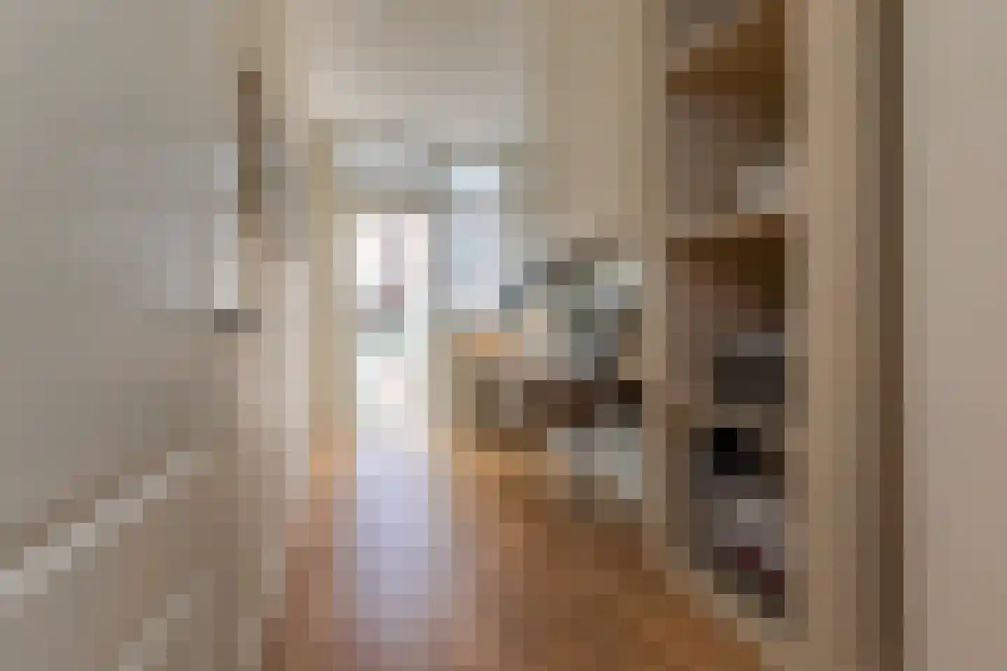 2e Louise de Colignystraat 73 Den Haag thumbnail 39