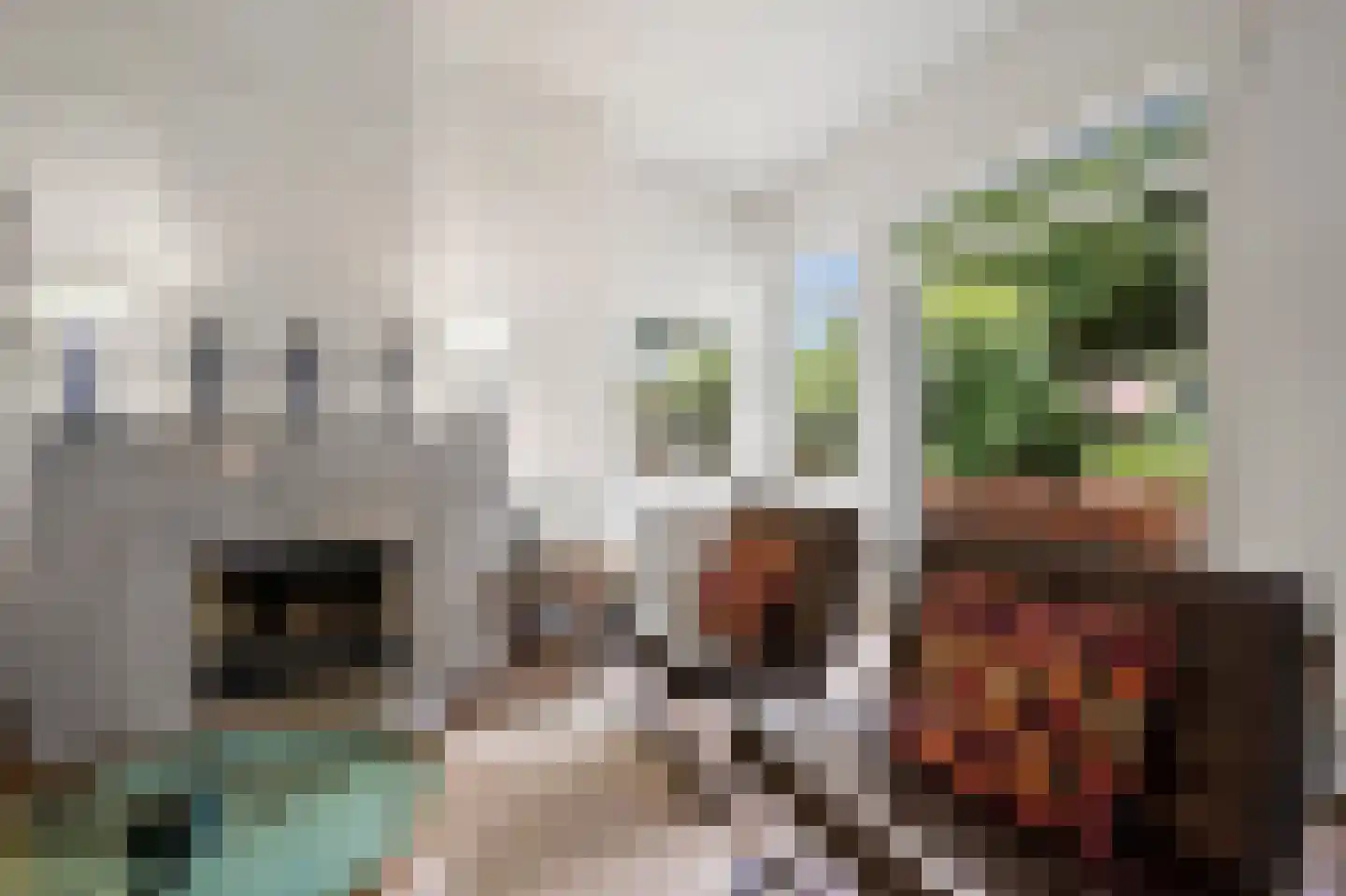 2e Louise de Colignystraat 83 Den Haag thumbnail 14