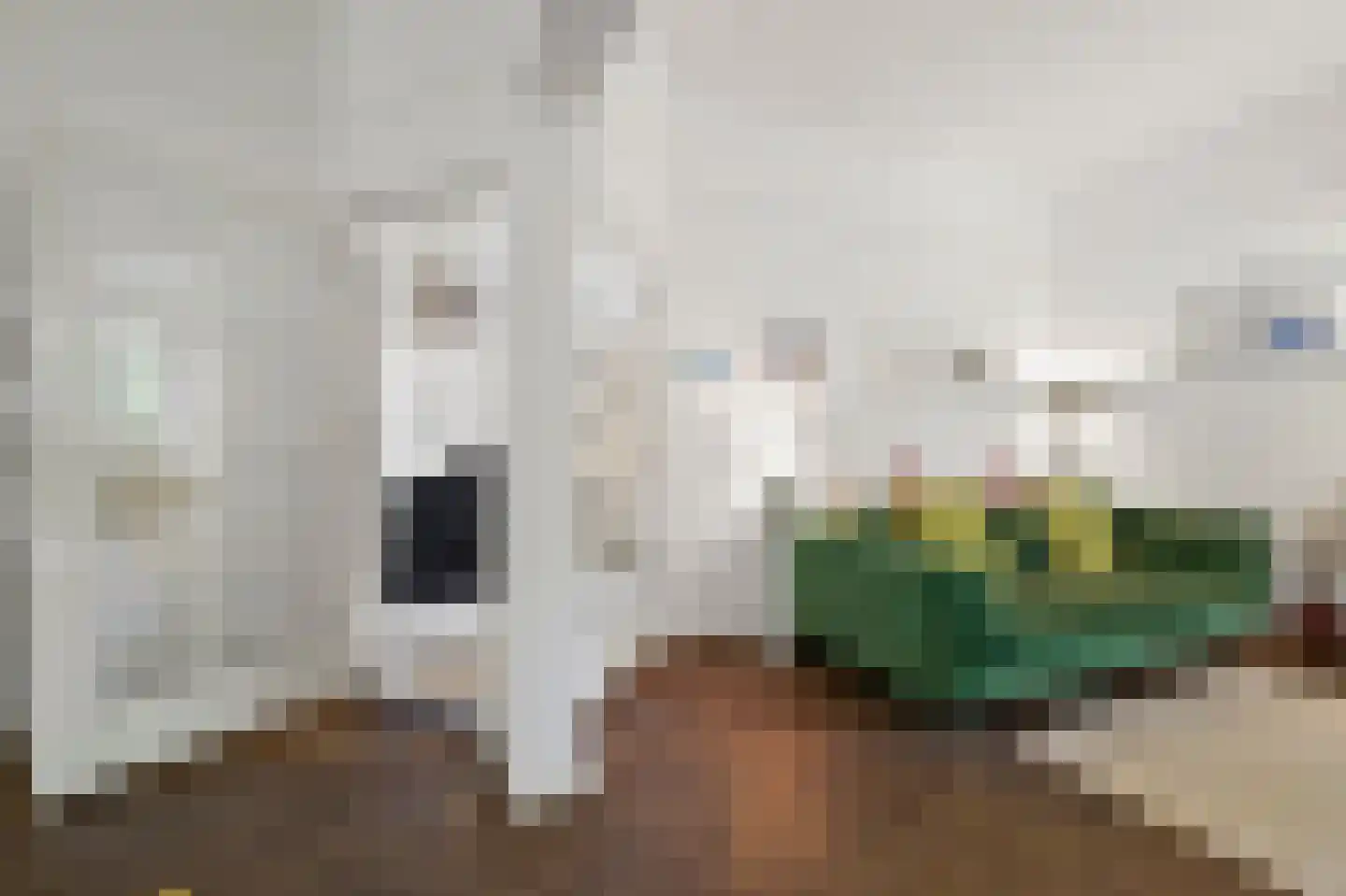 2e Louise de Colignystraat 83 Den Haag thumbnail 15