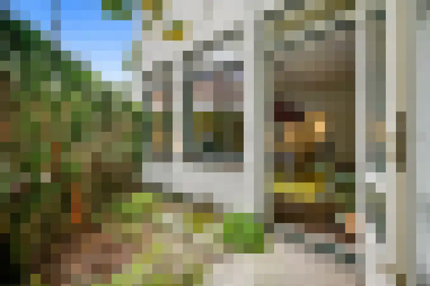 2e Louise de Colignystraat 83 Den Haag thumbnail 19