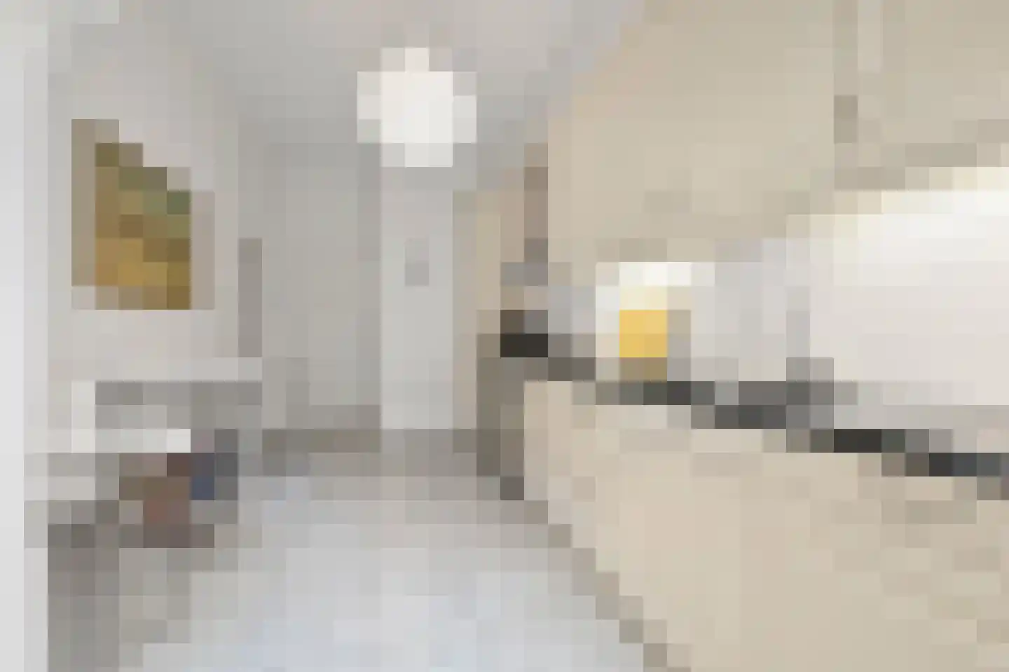 2e Louise de Colignystraat 83 Den Haag thumbnail 22